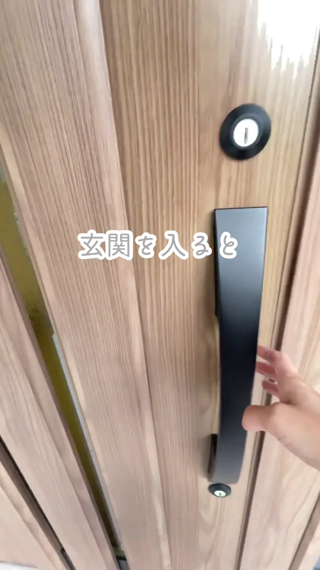 人気の動画